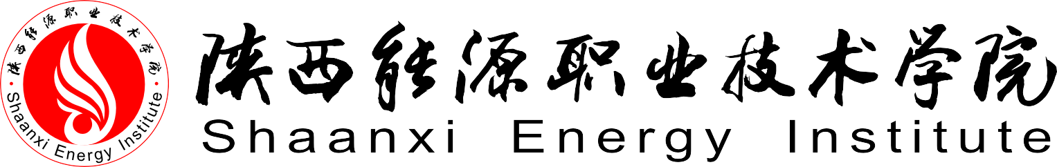 Shaanxi Energy Institute