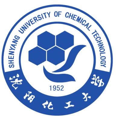 Shenyang University Of Chemical Technology